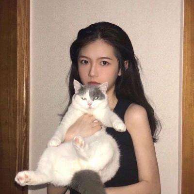 凌云道传手游